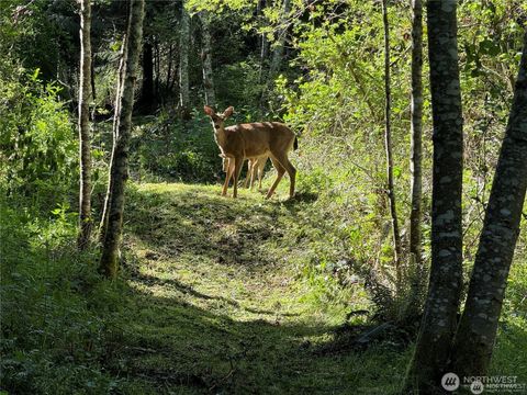 0 Highway 20 Port Townsend WA 98368