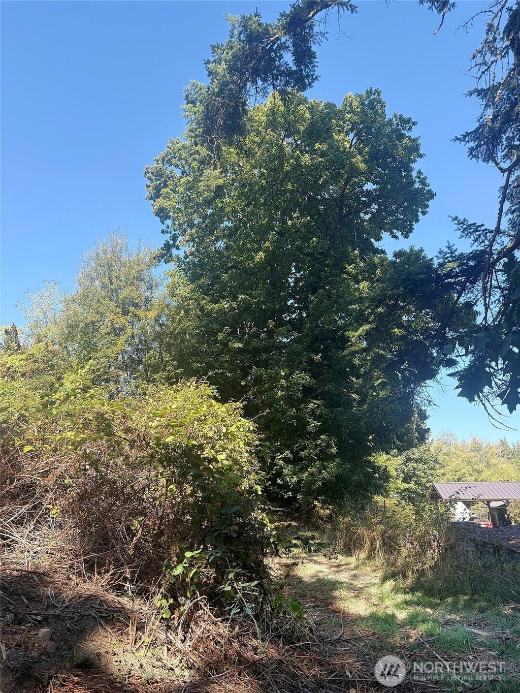 Photo of 1881 Newman Road, Freeland, WA 98249 (MLS # 2584797)