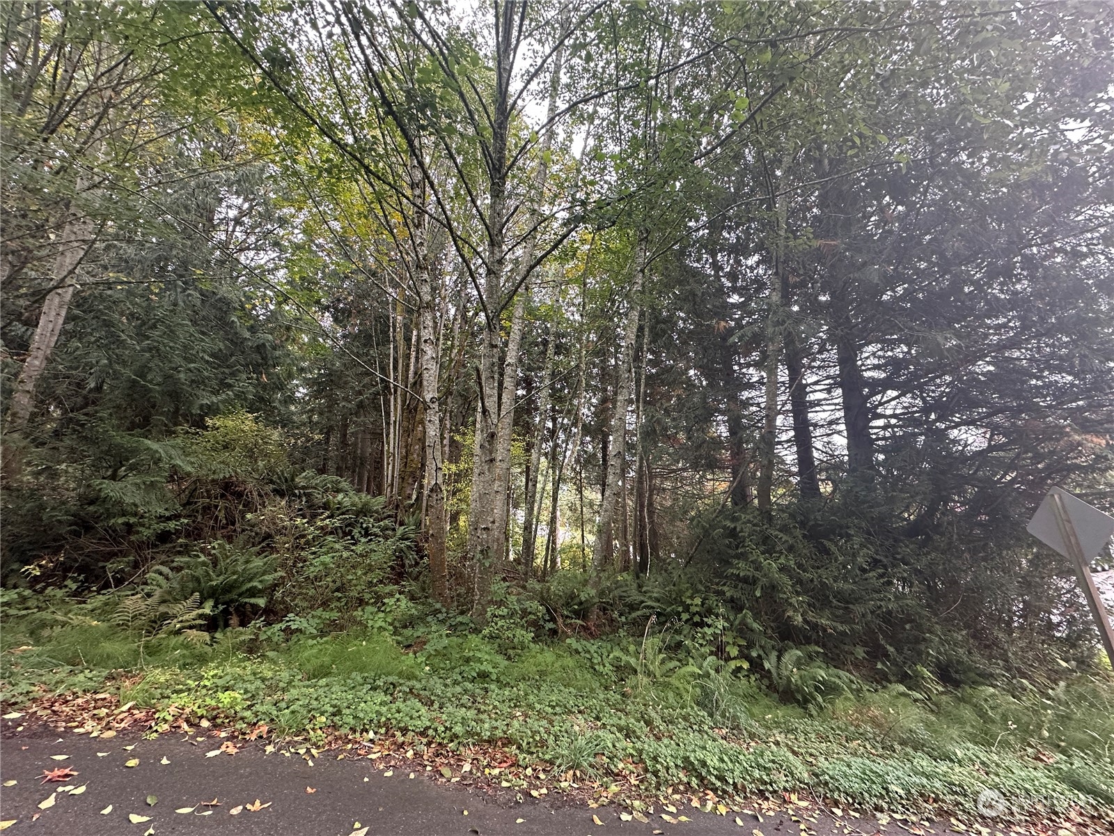 34638 NE Bridge View Place