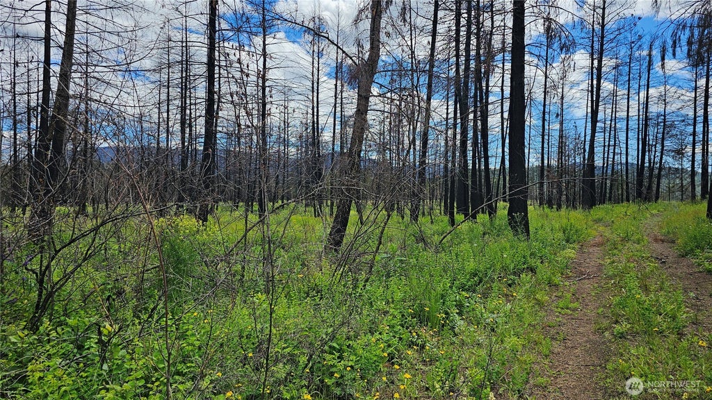 Photo of 34 XX Lael-Flat Creek Road, Kettle Falls, WA 99141 (MLS # 2590599)