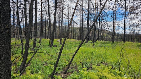 Photo of 34 XX Lael-Flat Creek Road, Kettle Falls, WA 99141 (MLS # 2590599)