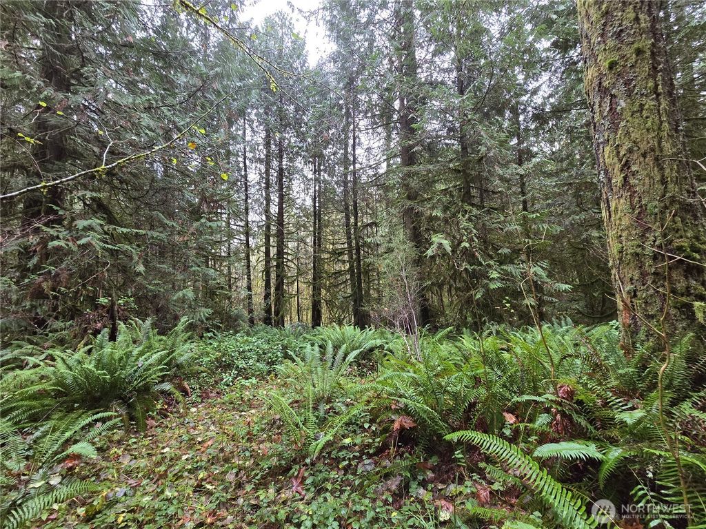 Photo of 245 Cousins Road, Chehalis, WA 98532 (MLS # 2457905)