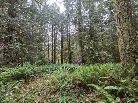 Photo of 245 Cousins Road, Chehalis, WA 98532 (MLS # 2457905)