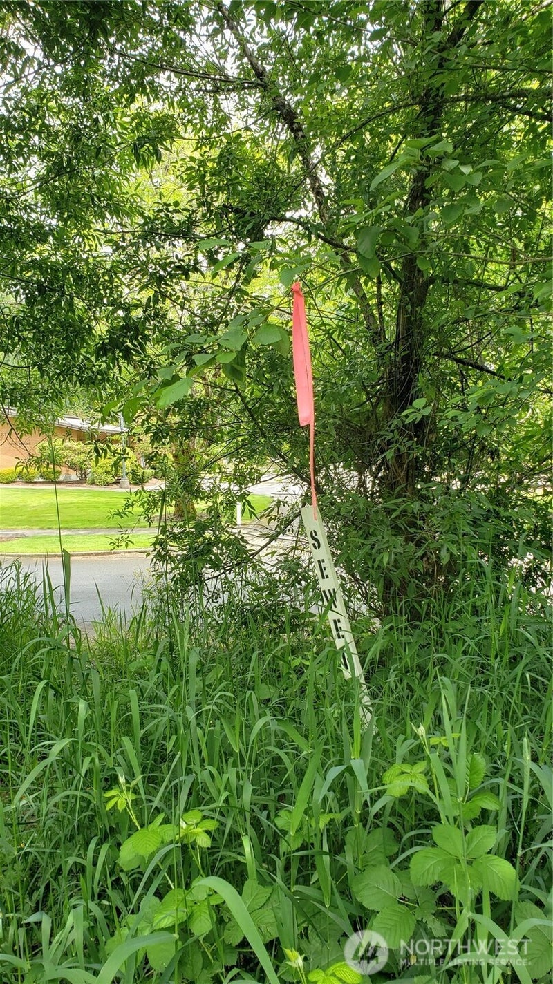11 6th Avenue SE