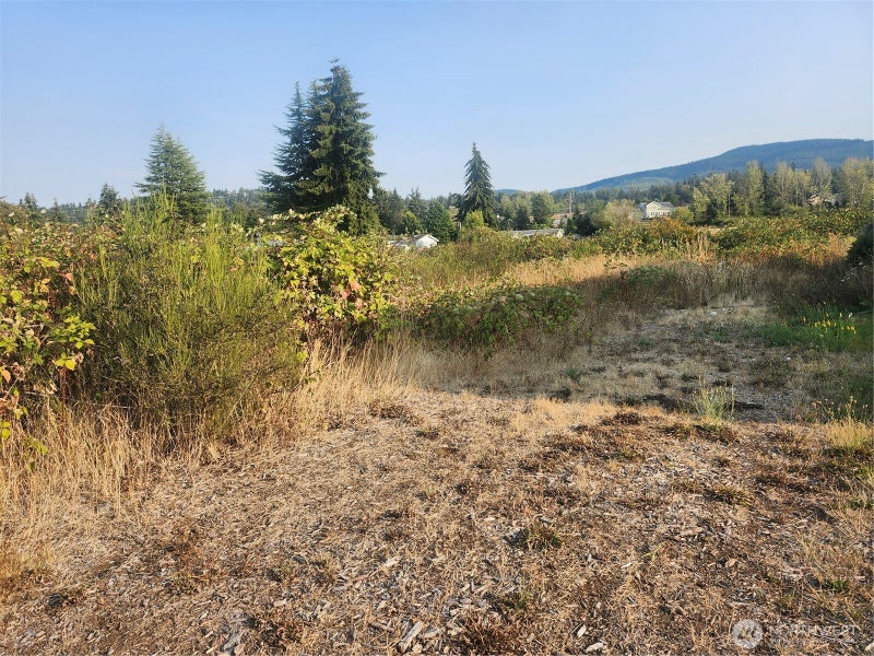 421 Salal Place