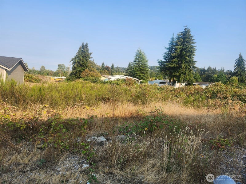 421 Salal Place