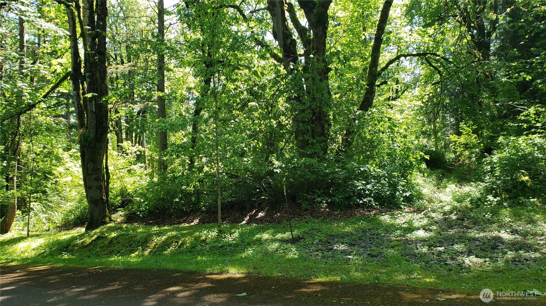 2114 212th (Lot #2) Avenue SE