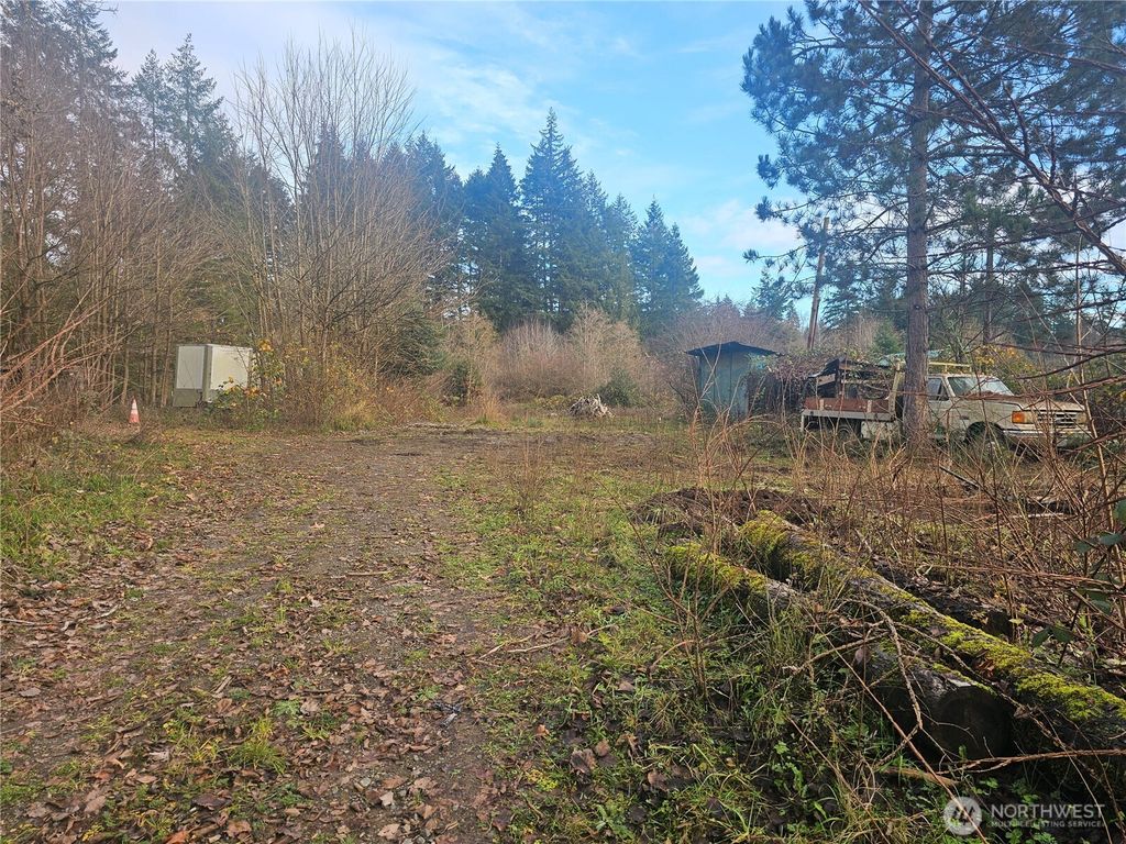 Photo of 780 SE State Route 3, Shelton, WA 98584 (MLS # 2459451)