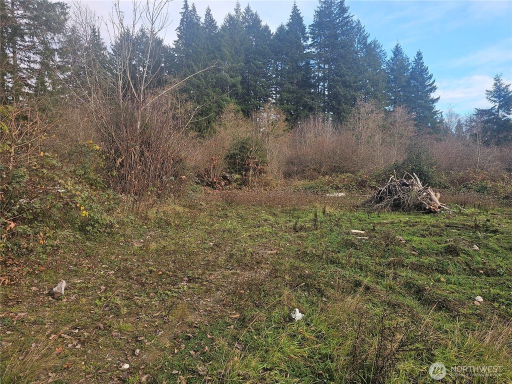 Photo of 780 SE State Route 3, Shelton, WA 98584 (MLS # 2459451)