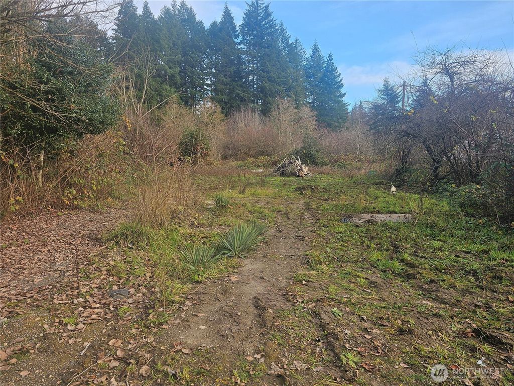 Photo of 780 SE State Route 3, Shelton, WA 98584 (MLS # 2459451)