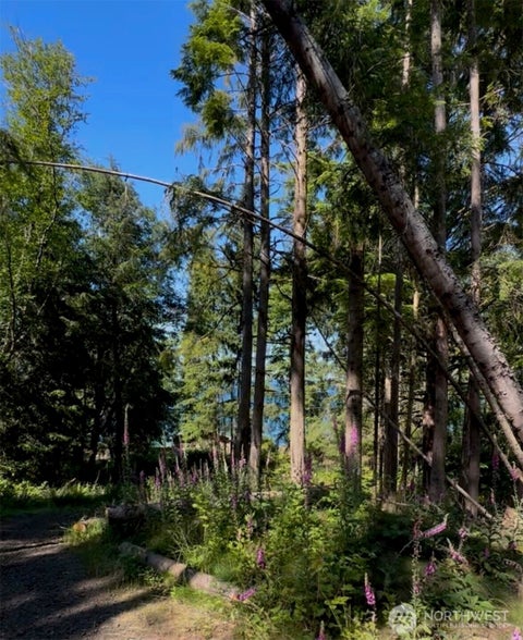 Photo of 1241 Eagle Point Road, Sekiu, WA 98381 (MLS # 2592899)