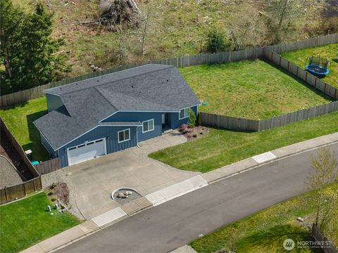 Photo of 903 Cody Street SE, Rainier, WA 98576 (MLS # 2507996)
