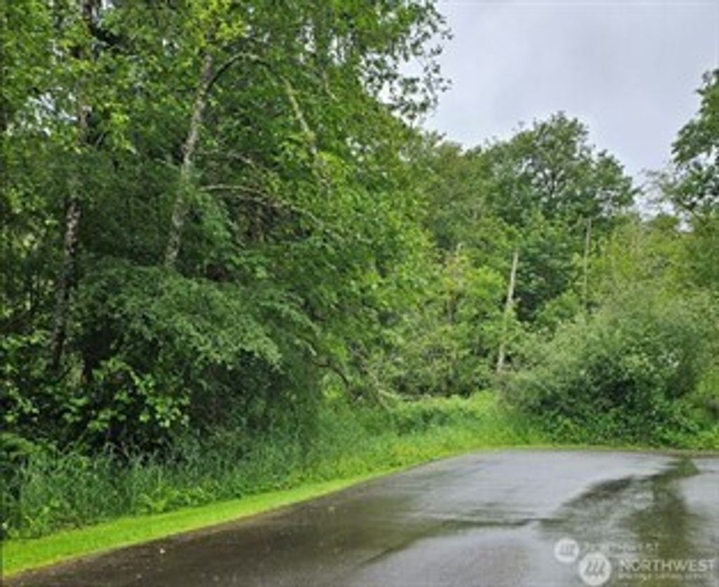 Photo of 18599 SE 136th St, Renton, WA 98059 (MLS # 2494399)