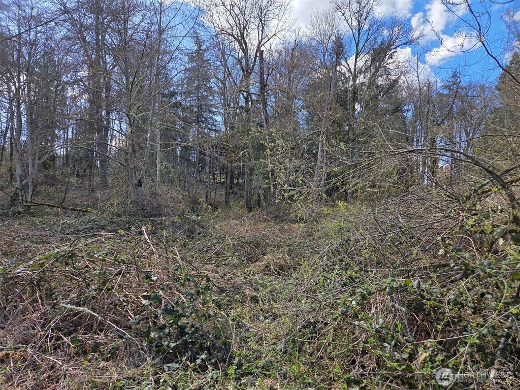 Photo of 18599 SE 136th St, Renton, WA 98059 (MLS # 2494399)