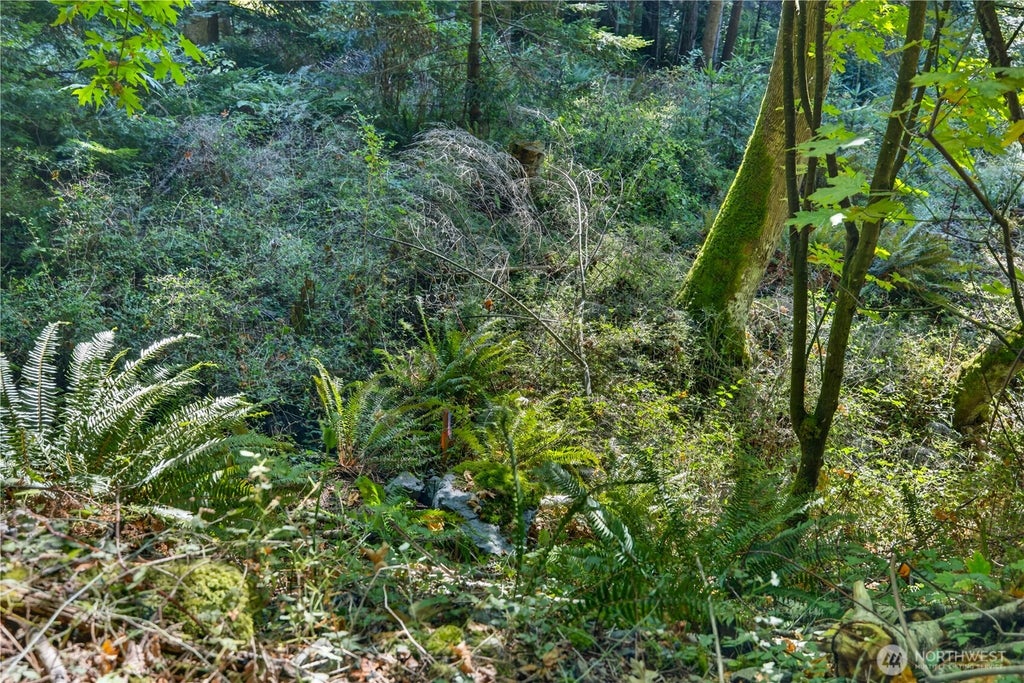 Photo of 0 NHN Woody Lane W, Anacortes, WA 98221 (MLS # 2568072)