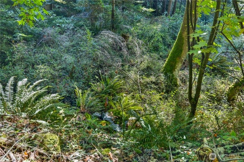Photo of 0 NHN Woody Lane W, Anacortes, WA 98221 (MLS # 2568072)