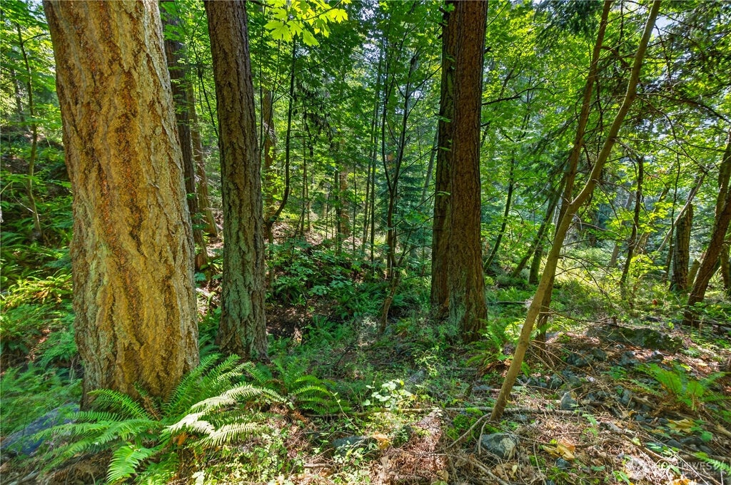 Photo of 0 NHN Woody Lane W, Anacortes, WA 98221 (MLS # 2568072)