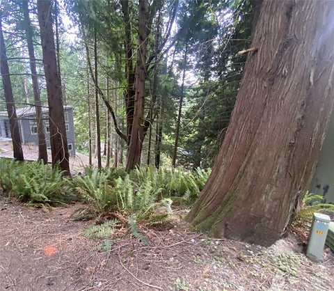 Photo of 11 Granite Circle, Bellingham, WA 98229 (MLS # 2444548)