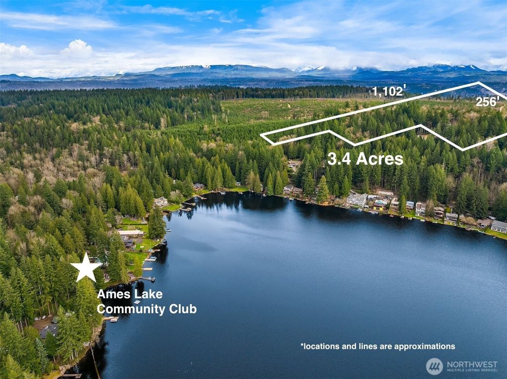 Photo of 38 XX E Ames Lake Drive NE, Redmond, WA 98053 (MLS # 2353456)