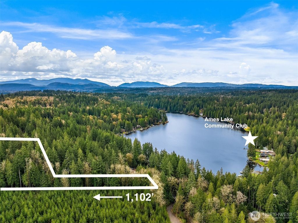 Photo of 38 XX E Ames Lake Drive NE, Redmond, WA 98053 (MLS # 2353456)