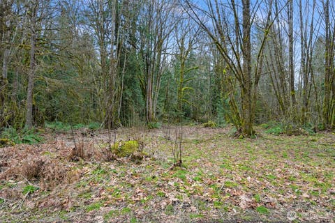 Photo of 7738 Maple Drive, Maple Falls, WA 98266 (MLS # 2572644)