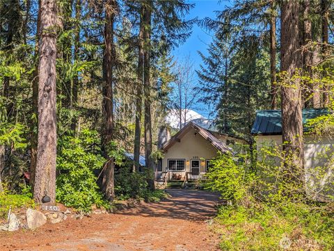 130 Mount Rainier Drive Packwood WA 98361