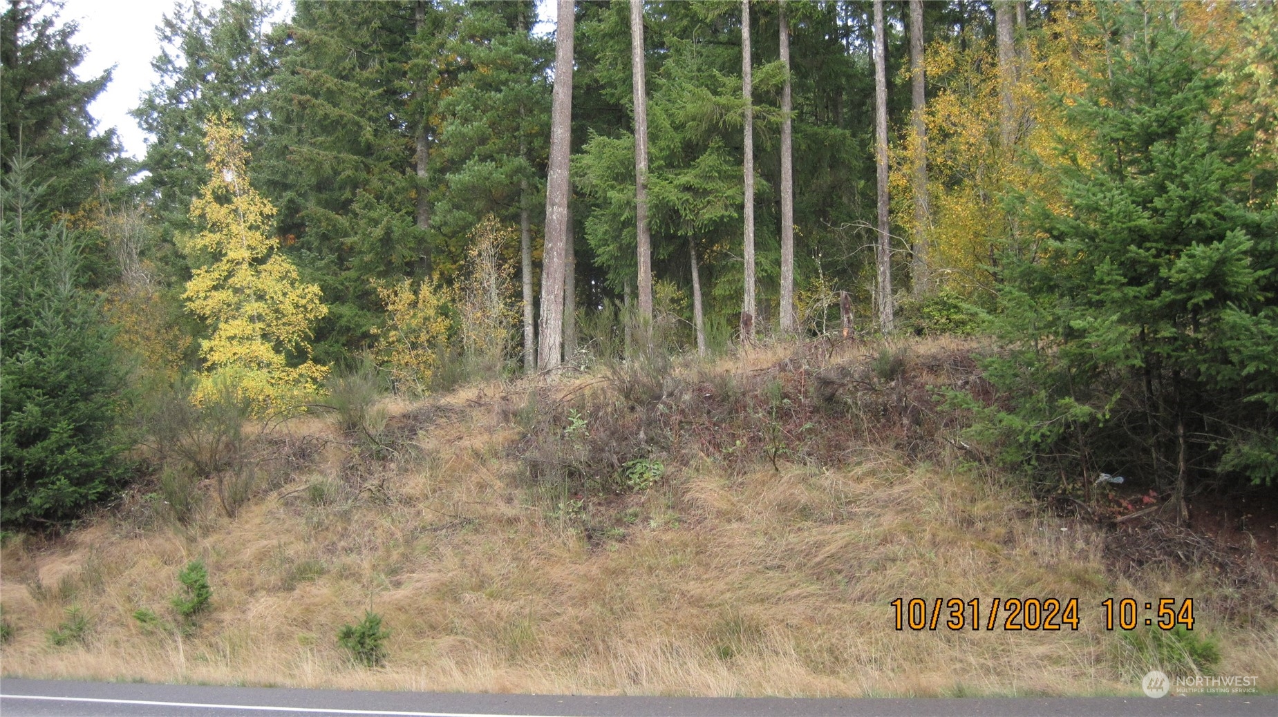 1073 Sedgewick