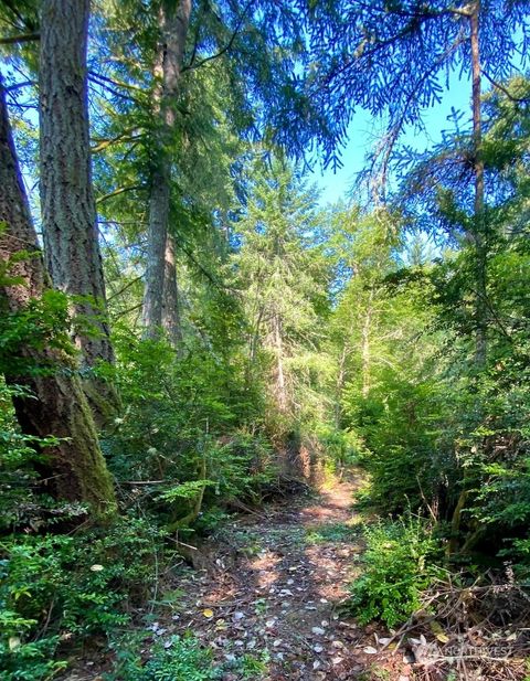 28686 141st Avenue SW Vashon WA 98070