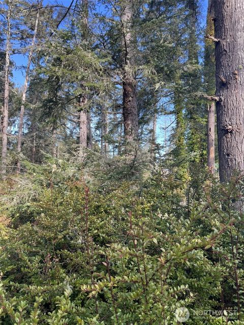 Photo of 0 198th Place, Long Beach, WA 98631 (MLS # 2332761) Photo of 0 198th Place, Long Beach, WA 98631 (MLS # 2332761)