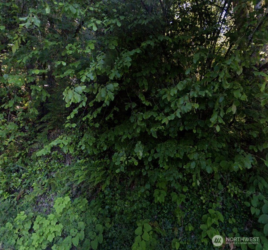 445 W Lake Sammamish Pkwy SE