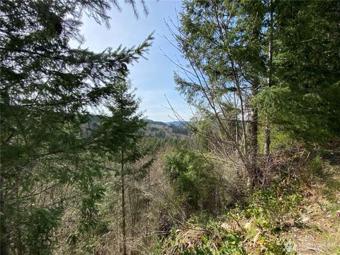 Photo of 0 250th Ave E, Orting, WA 98360 (MLS # 2488734)