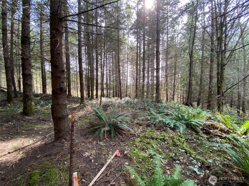 Photo of 0 250th Ave E, Orting, WA 98360 (MLS # 2488734)