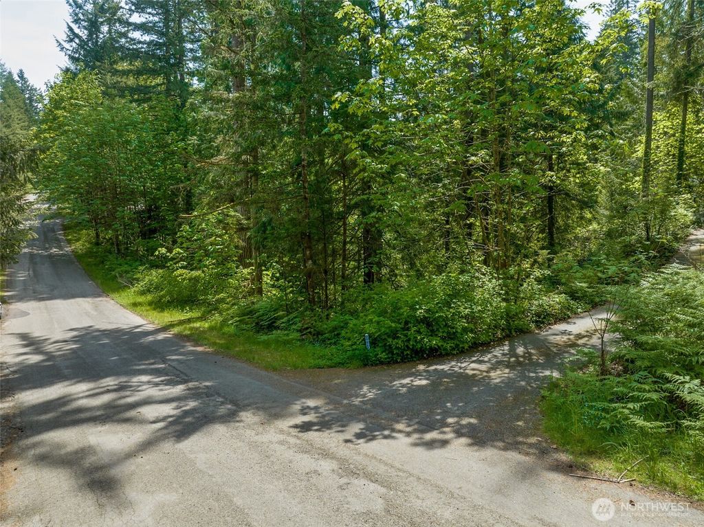 Photo of 26043 SE 156 Street, Issaquah, WA 98027 (MLS # 2436324)
