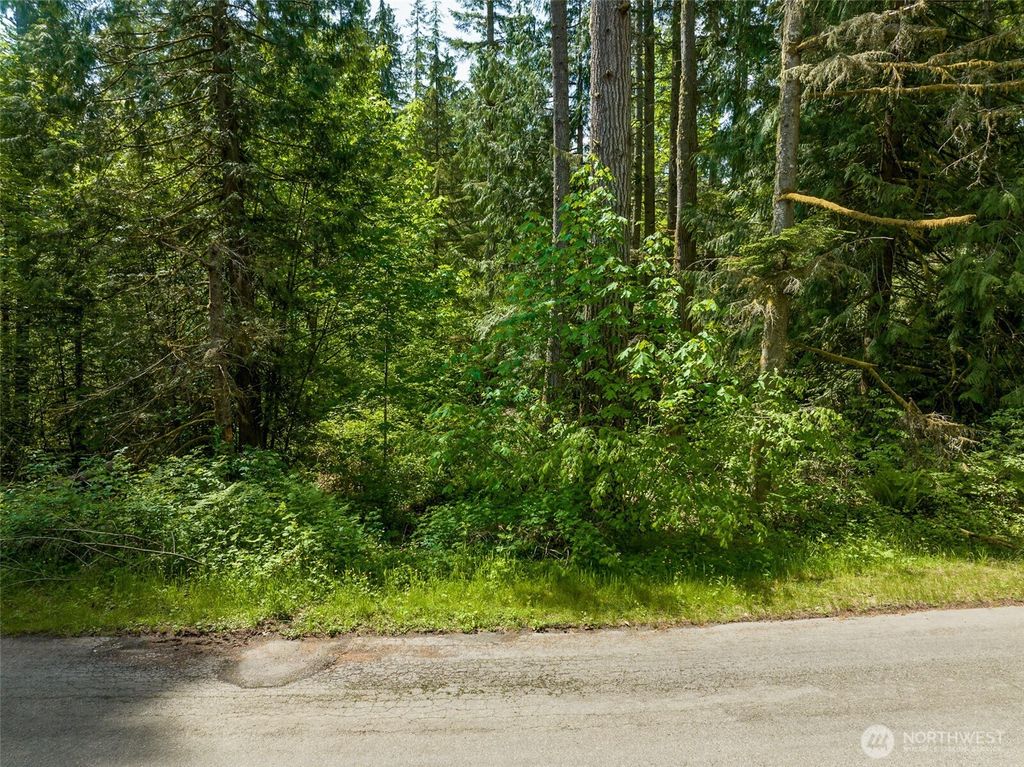 Photo of 26043 SE 156 Street, Issaquah, WA 98027 (MLS # 2436324)