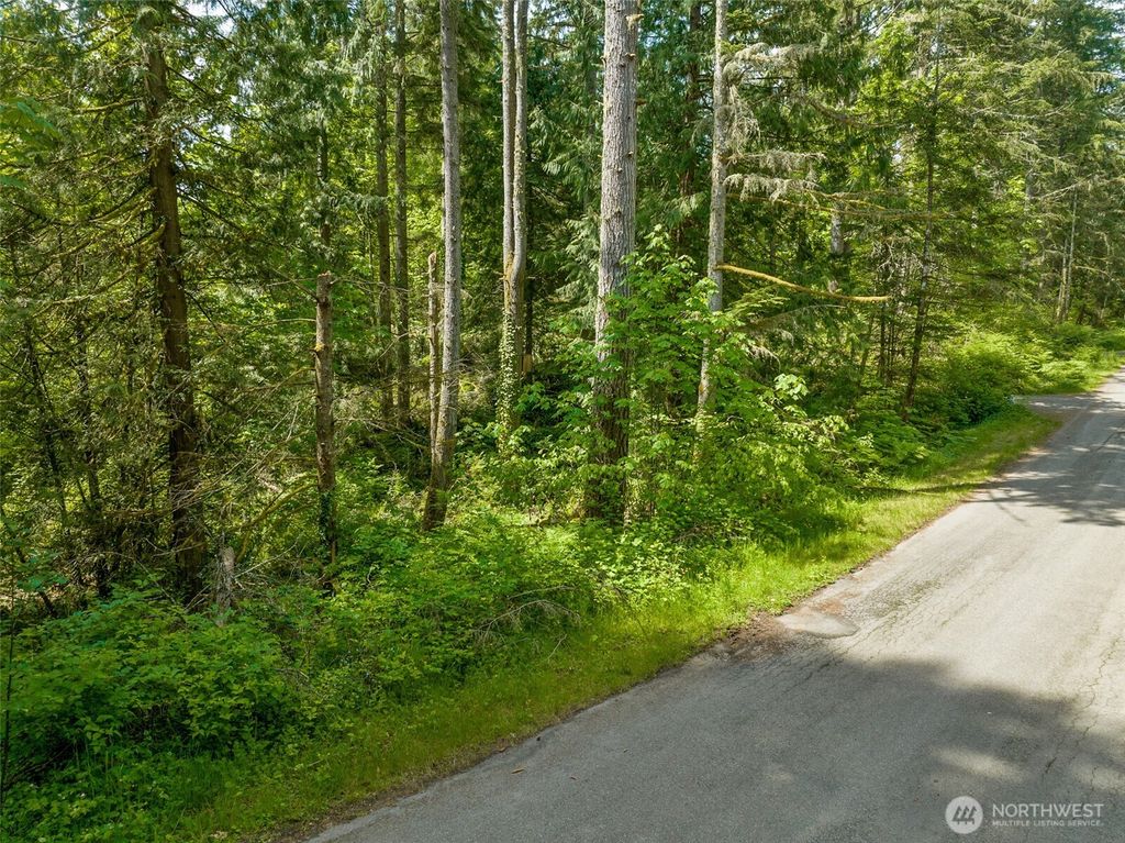 Photo of 26043 SE 156 Street, Issaquah, WA 98027 (MLS # 2436324)