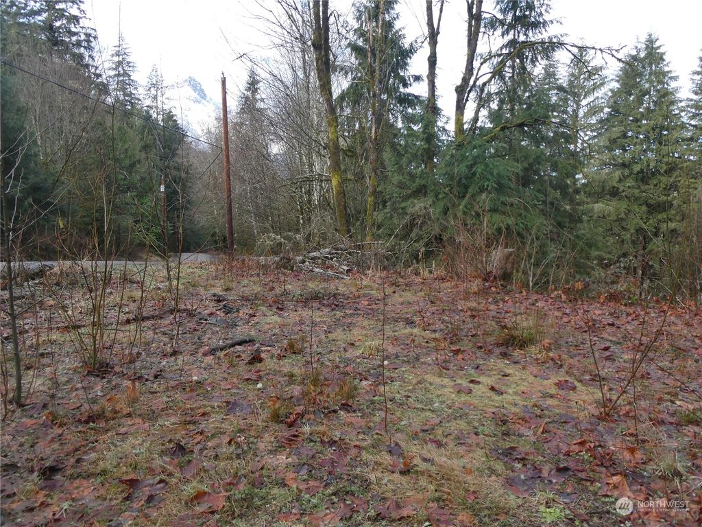 Photo of 0 S Riverside Road, Gold Bar, WA 98251 (MLS # 2198650)