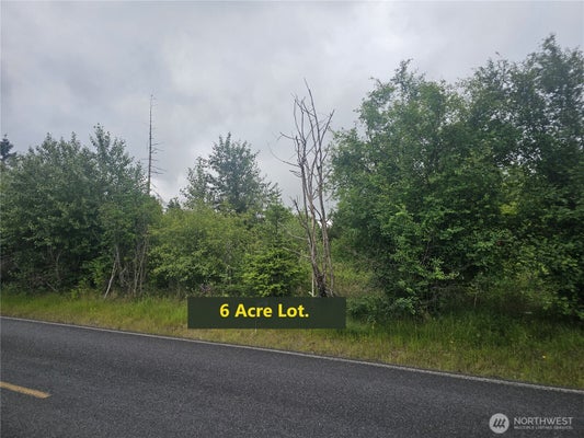 565 OYLER RD, ETHEL, WA 98542 - Image 8649d461bfa99219506d91af5e3cf2e2/681074187