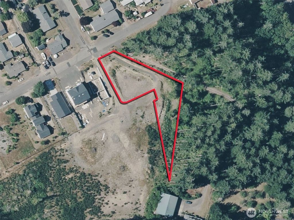 Photo of 233 W B Street, Shelton, WA 98584 (MLS # 2466549)