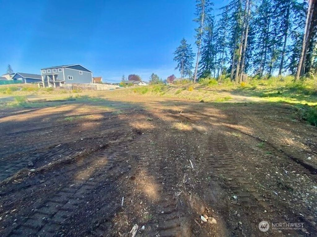 Photo of 233 W B Street, Shelton, WA 98584 (MLS # 2466549)