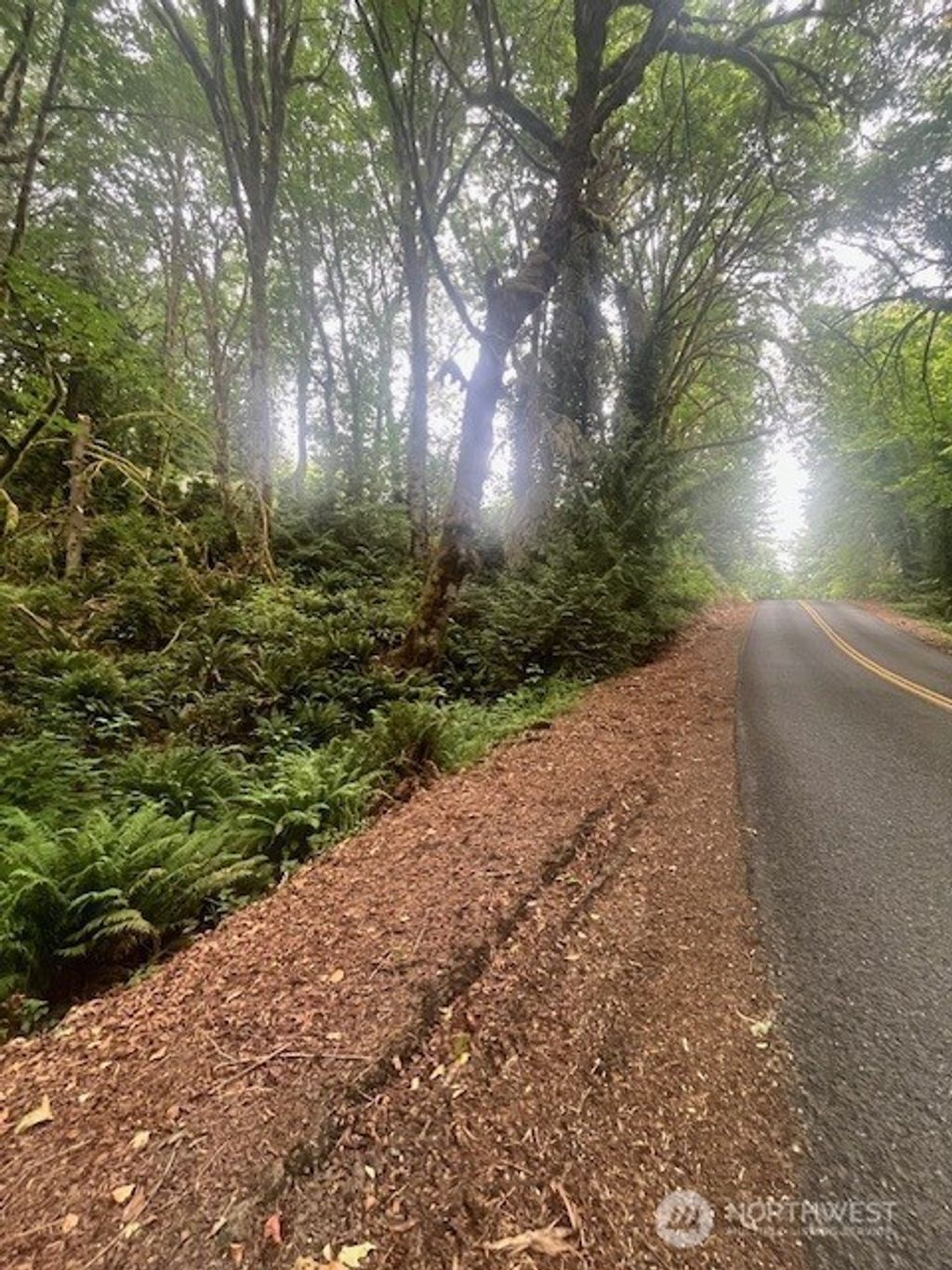 Photo of 14802 Delano Road SW, Lakebay, WA 98349 (MLS # 2471787)