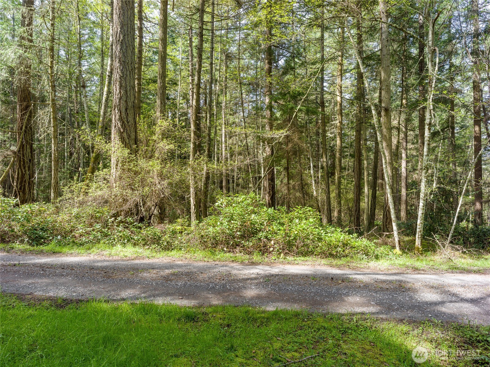 353 Davies Drive