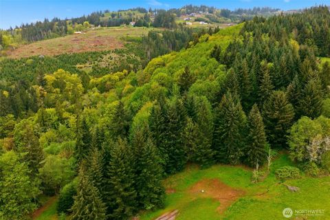 Photo of 0 Green Mountain Rd, Kalama, WA 98625 (MLS # 2507353)