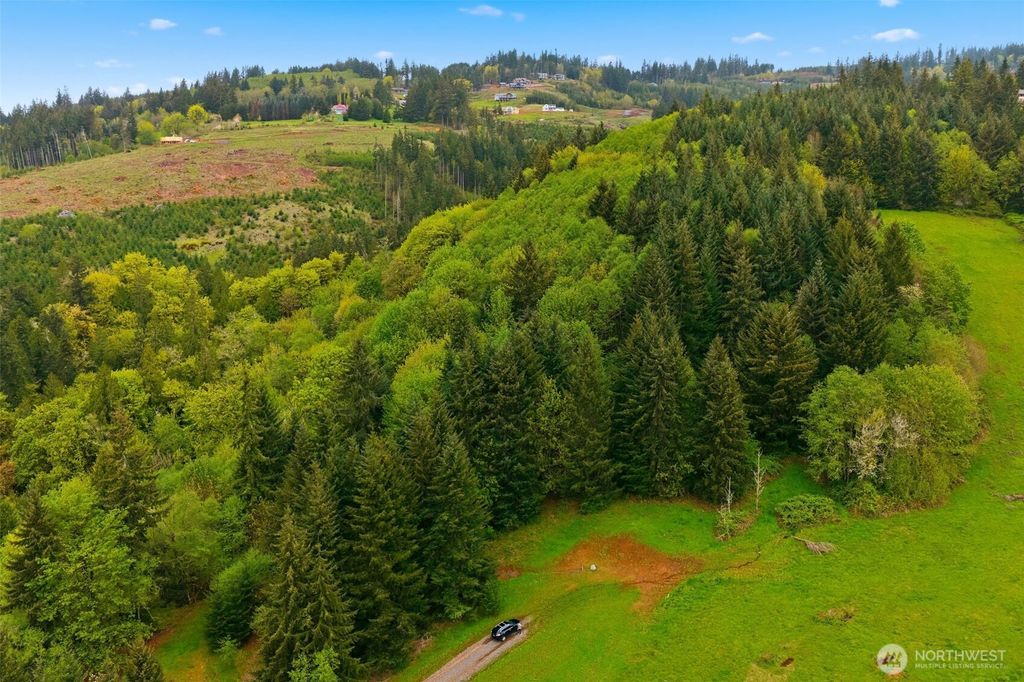 Photo of 0 Green Mountain Rd, Kalama, WA 98625 (MLS # 2507353)
