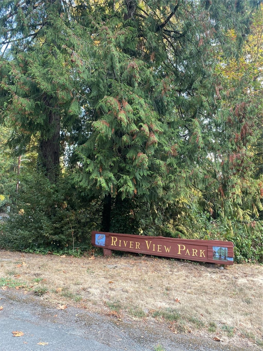 Photo of 5125 335th Lane SE, Fall City, WA 98024 (MLS # 2009120)