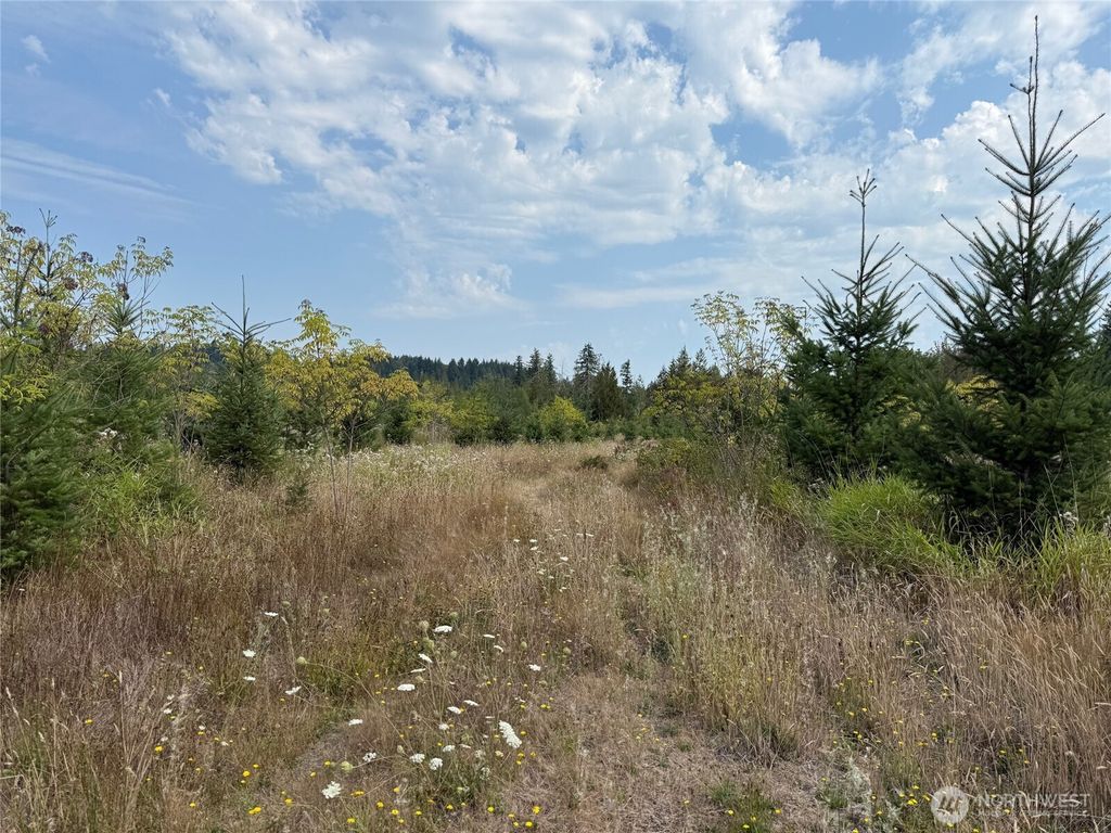 Photo of 14 xx Spencer Road, Onalaska, WA 98570 (MLS # 2464805)