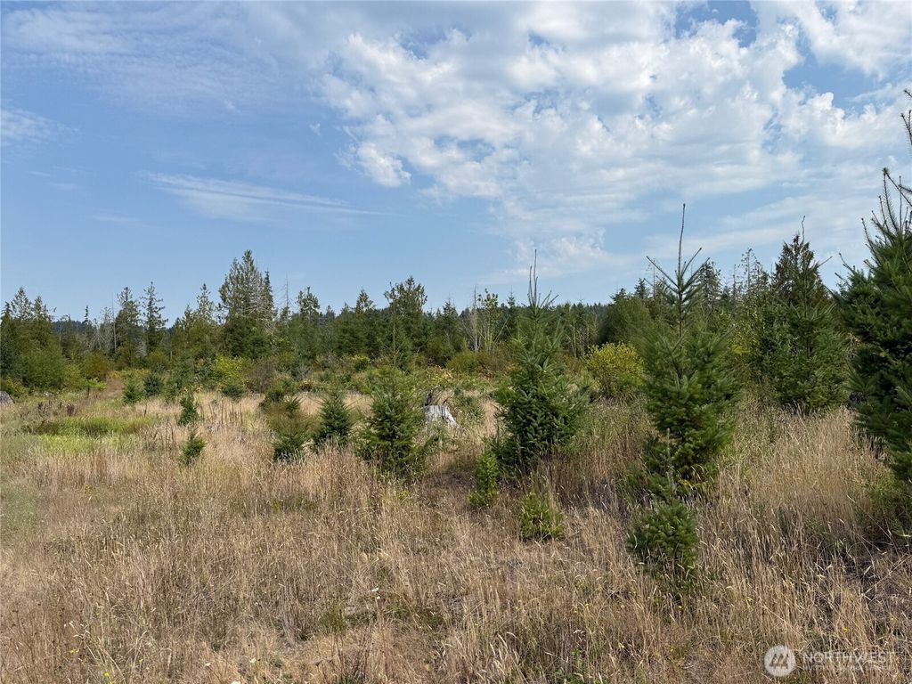 Photo of 14 xx Spencer Road, Onalaska, WA 98570 (MLS # 2464805)