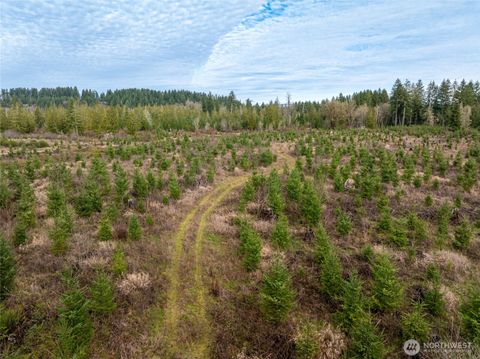 14 Spencer Road Onalaska WA 98570