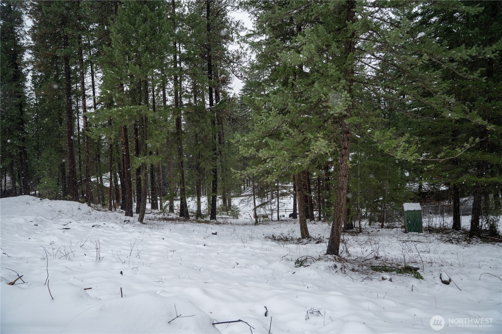 22125 Appaloosa Lane