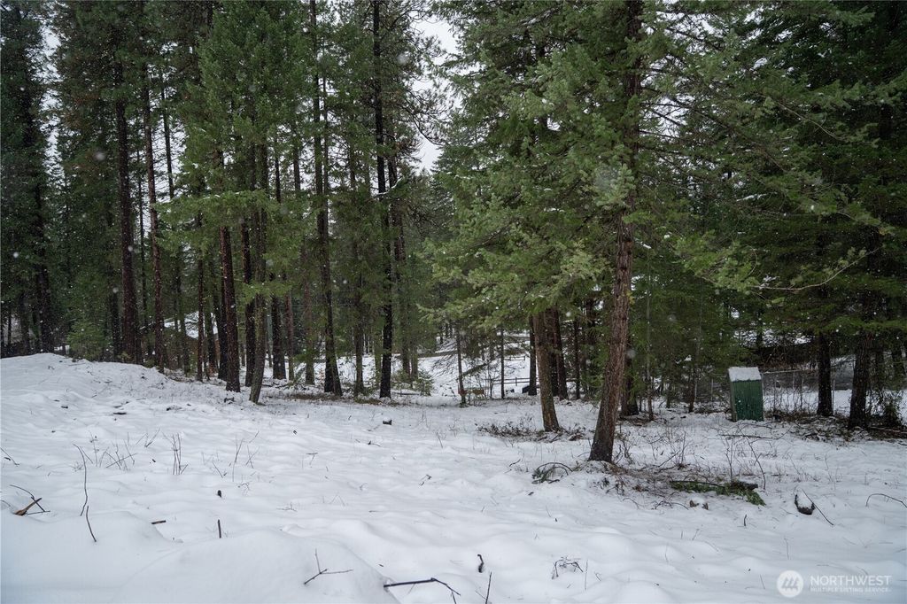 Photo of 22125 Appaloosa Lane, Leavenworth, WA 98826 (MLS # 2461665)