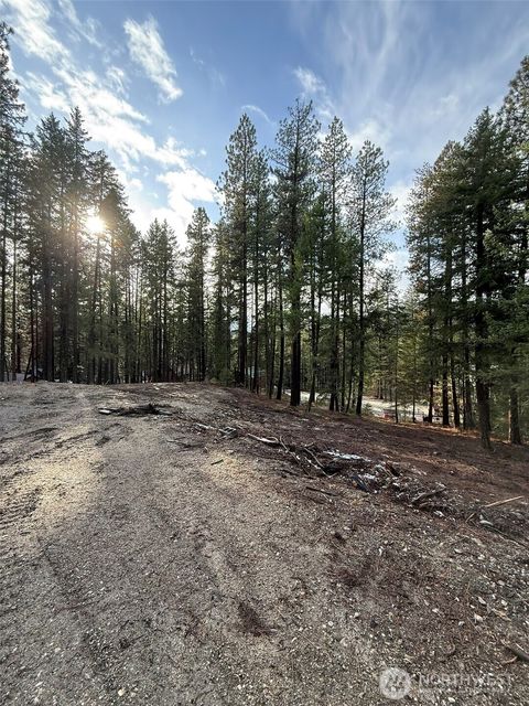 22125 Appaloosa Lane Leavenworth WA 98826